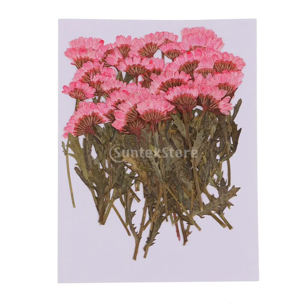 suntekstore1532399146_image