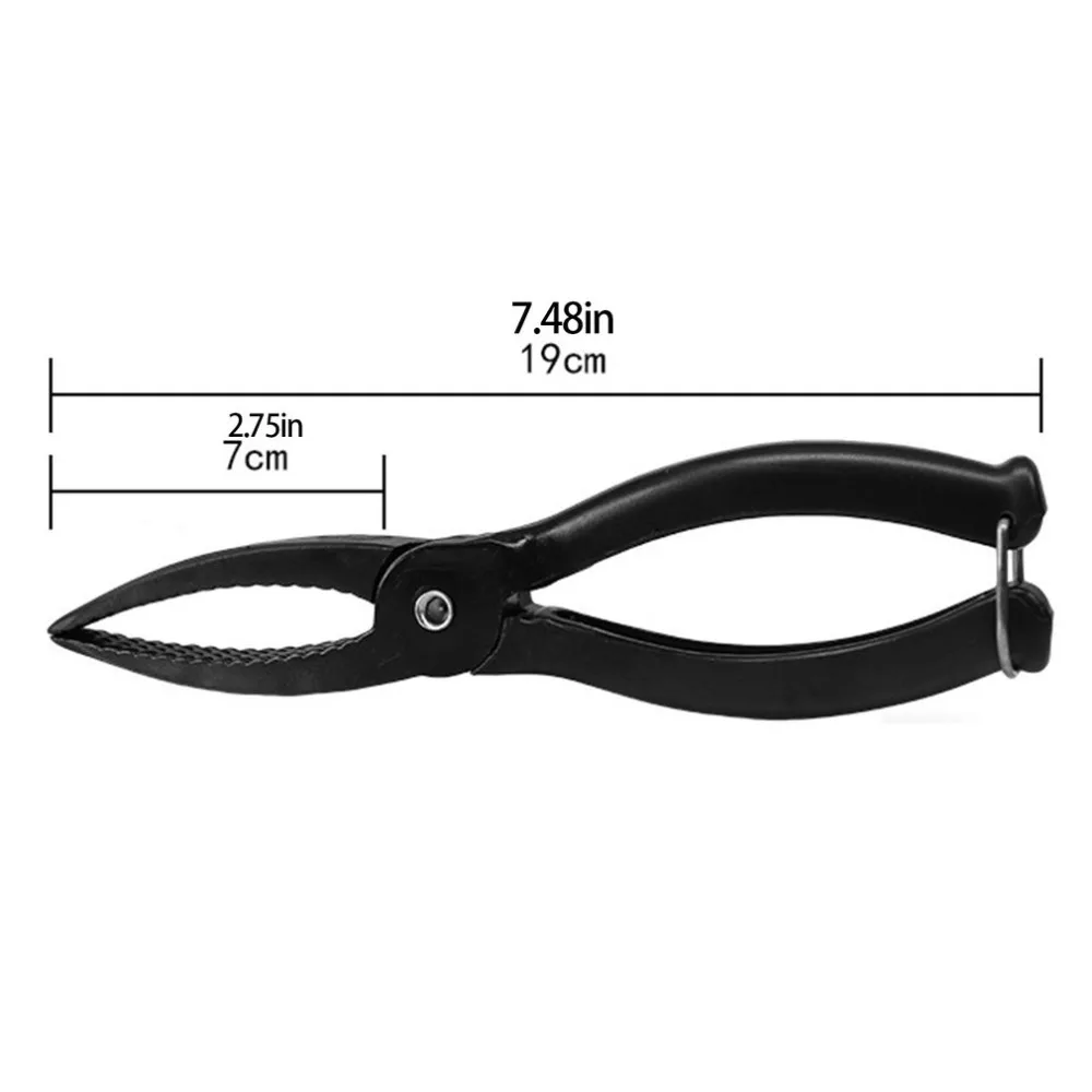 TY550301-S-20110902-1