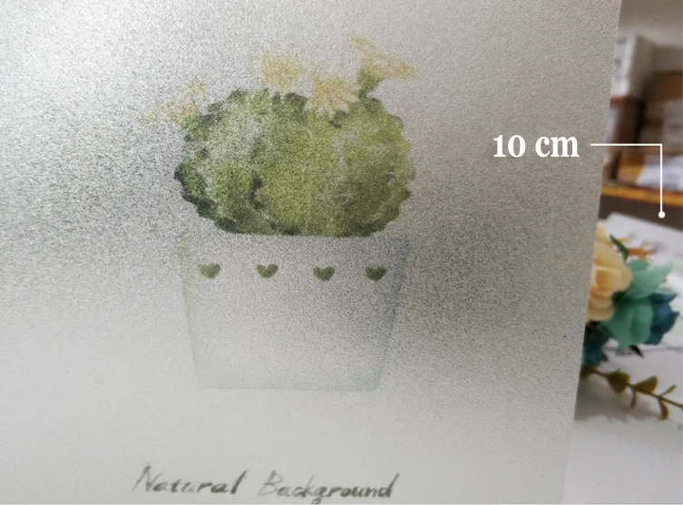 6_conew1