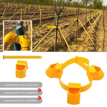 

Gardening TPR Fruit Tree Fixation Support Tool Plant Windbreak Protection Binding Holder Kit Garden Tools and Equipment