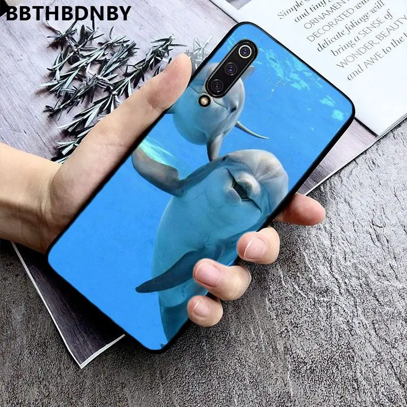 Dolphin
