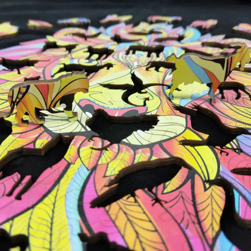 23007564798_1780124236