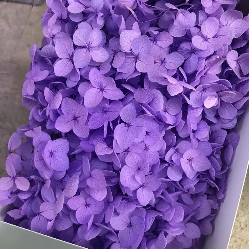 9boxes,Long Time Lasting Natural Fresh Preserved Flowers Dried Hydrangea Flower Head For IY Real Eternal Life Flowers Material - Цвет: 35