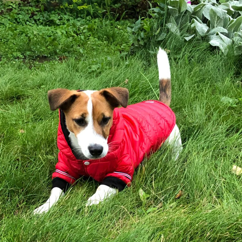 Winter Warm Pet Dog Jacket Coat Chihuahua Clothing Hoodies For Small Medium Puppy Pet Clothes Yorkshire Poodle Cat Outfit Xs-xl