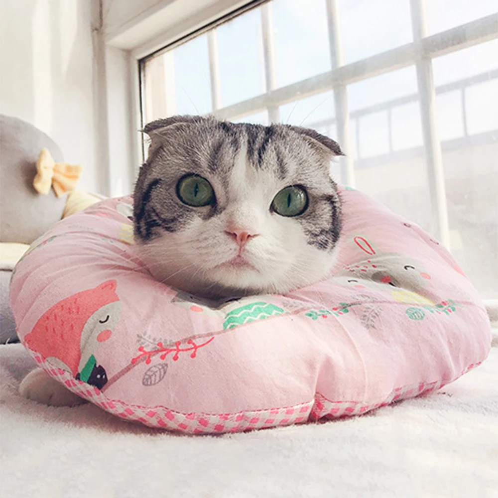 

Pet Protective Collar Dog Neck Cone Recovery Cone Anti-Bite Lick Surgery Wound Healing Cat Dogs Health Medical Collar