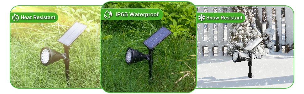 solar spotlight (1)