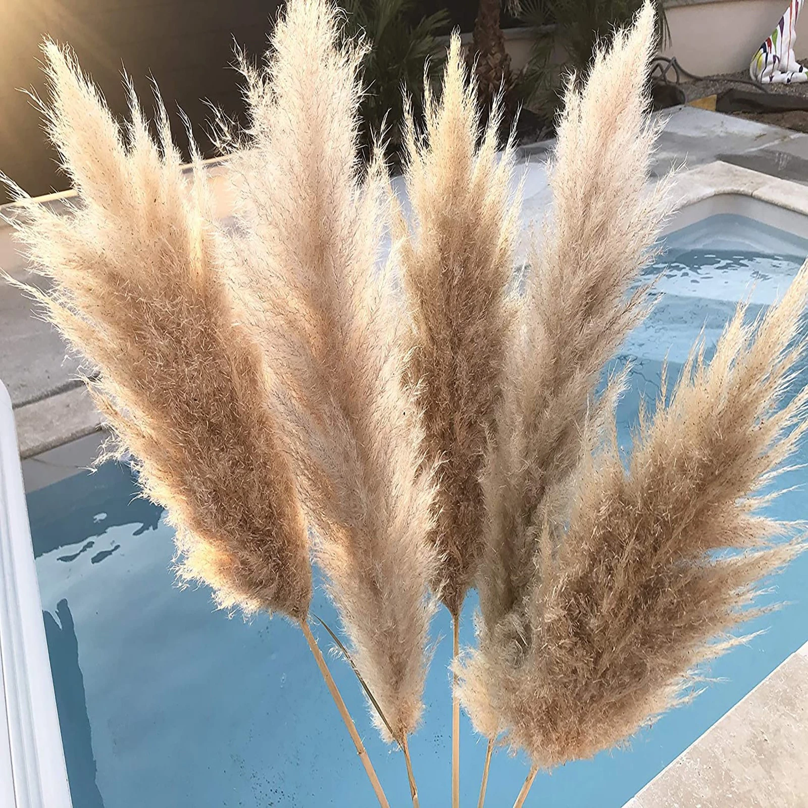 ホタルイ自然乾燥させた小さなパンパス草phragmites人工植物ウェディングドライフラワー束ホームデコレーションフェイク花 G3 Artificial Dried Flowers Aliexpress