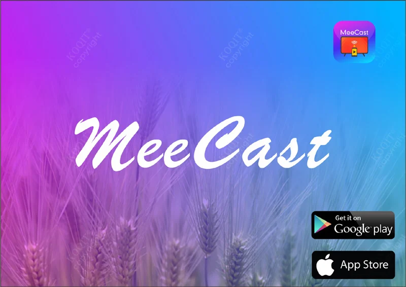 Receptor de TV via satélite