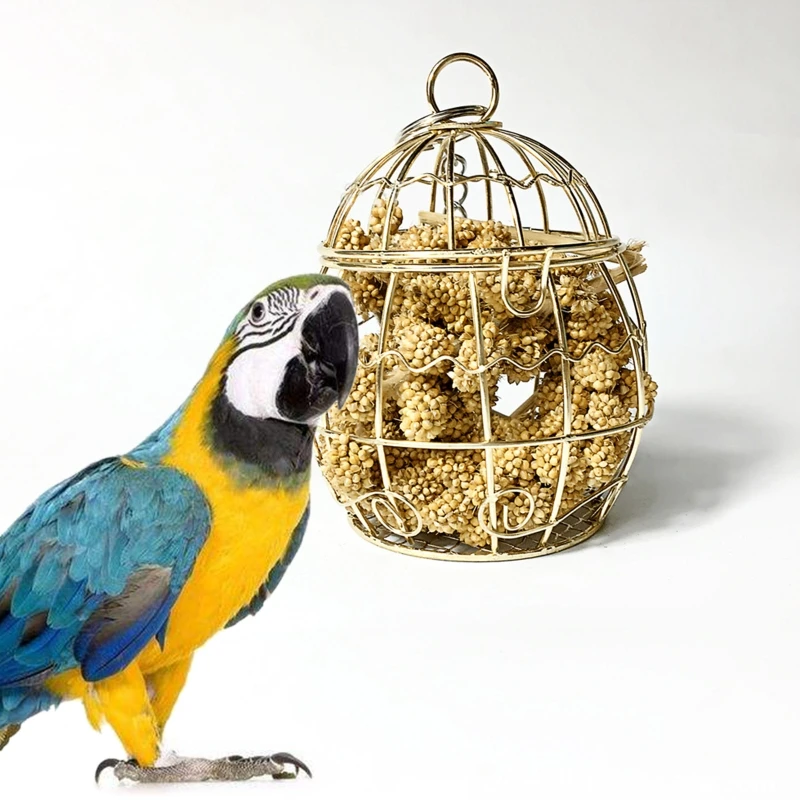 Trituradora de pájaros de juguete alimentador de jaula de acero inoxidable, contenedor de mijo para loros, forrajeros, GXMA