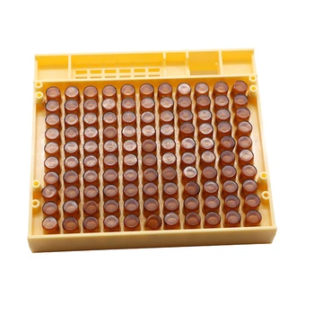 

1 set beekeping tools queen rearing equipment queen breeding box 110pcs bee cell cups 10pcs queen cage cupkit