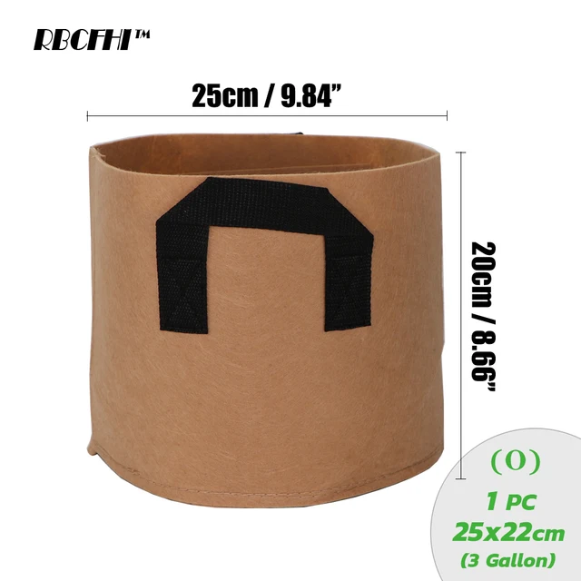 Image 21