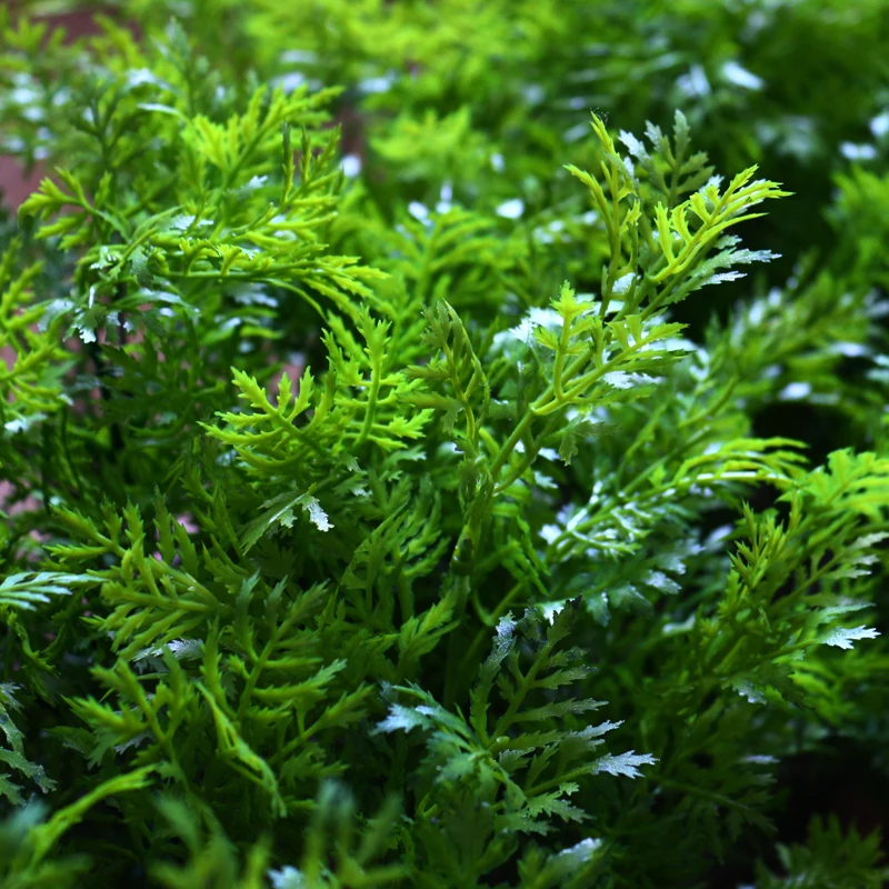 

Artificial Green Plastic Artemisia Plant Fake Parsley Grass Wedding Home Table Decorative Flowers