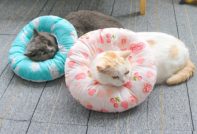 10969403802_1088394235