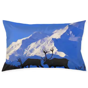

Alaska Fashionable pillowcase and rectangular decorative pillowcase 20 "x30"