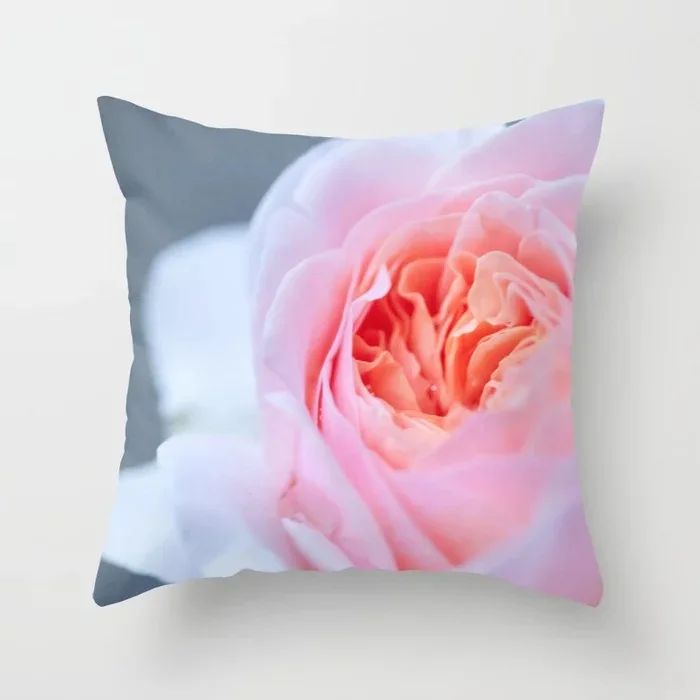 forever-in-love-pink-rose-1-de