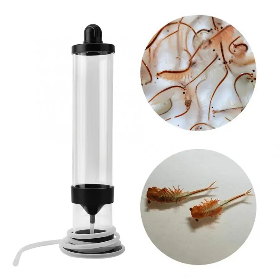 

Artemia Eggs Incubator Eggs Incubator Hatchery Artemia Eggs for Aquarium Brine Shrimp Eggs Chicken Feeder