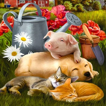 

Diamond Painting Animal Pig Piggy 5d Diy Mosaic Full Square Round Drill Diamant Of Rhinestone Daimond Embroidery Pictures Sale