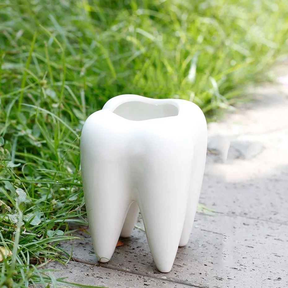 

No Plant or Hole Cute Tooth Shape Solid and Durable Corrosion-resistant Ceramic Flowr Pot Garden Bonsai Planting Length 6.8CM