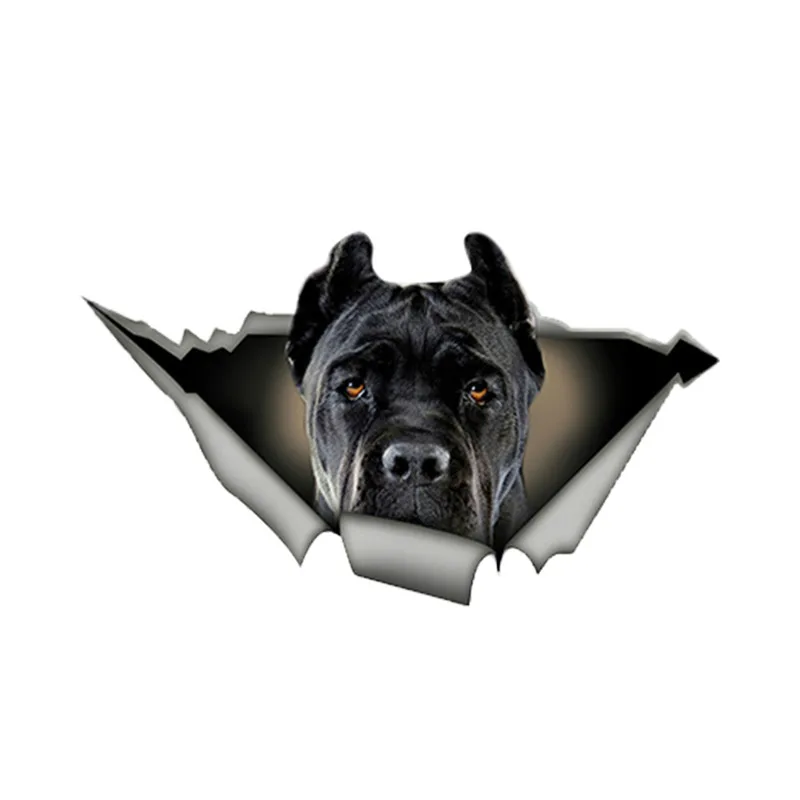 funny dogs decal Black Cane Corso car sticker dogs window decal vinyl decal 