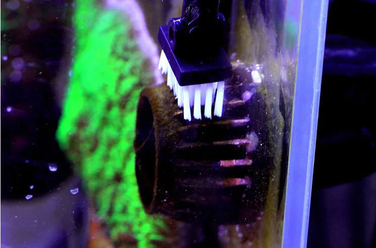 HTB1XdexSXXXXXc0aXXXq6xXFXXX2