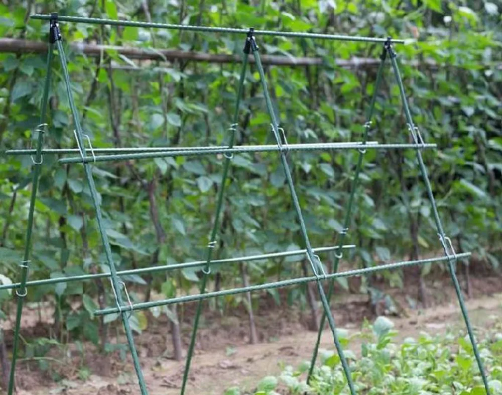 15535653189_391639607