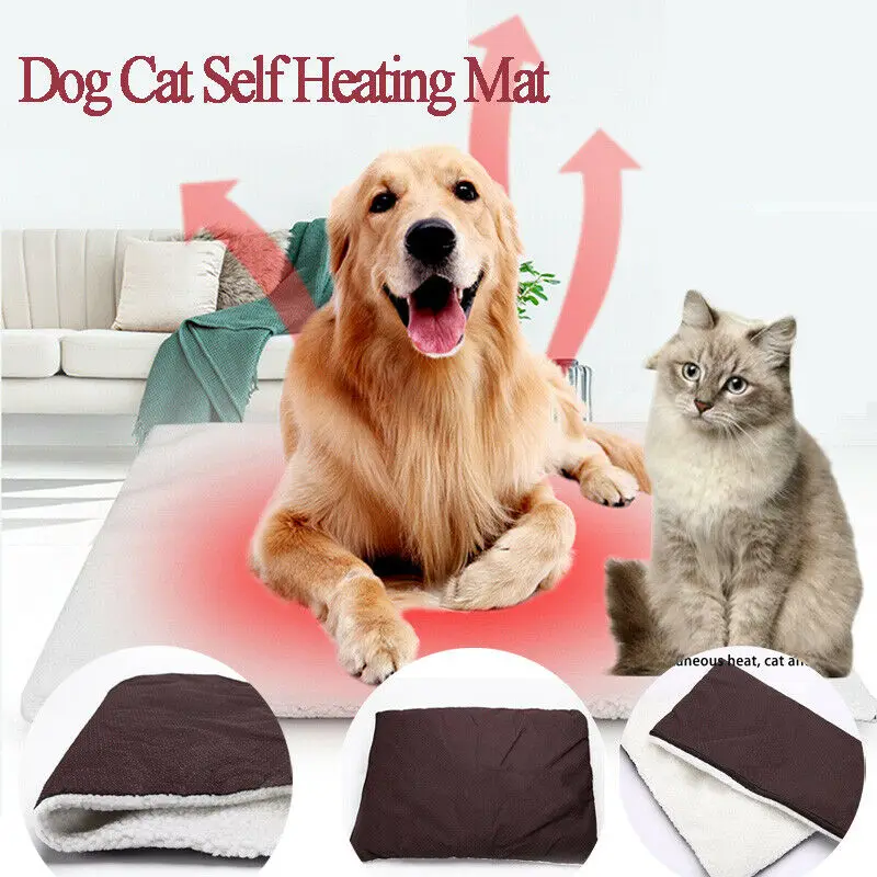 self heating pet bed large
