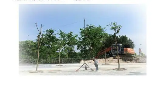  Latest version WINDCAMP Gipsy 5-50MHz Adjustable Coil Dipole Antenna Half-wavelength Horizontal