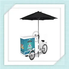 food bike (9)