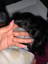 Cranberry-peluca con cierre de encaje 4x4 para mujer, cabello Remy brasileño de ondas profundas, pelucas de cabello humano con encaje frontal 13x4, línea de cabello prearrancado