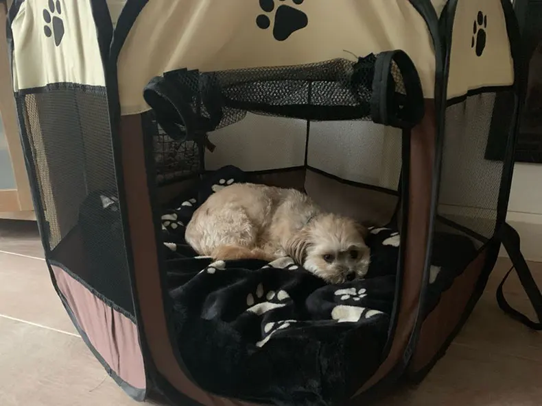 Ha204e541d5404ea9808da27d73f935ffx