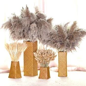 

Pampas Grass Wedding decoration Home Decor Dried Flower Bunch Real Natural Plants Decor Diy wedding Flowers decoration grass