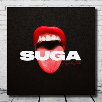 

Art Megan Thee Stallion Suga Print Poser 14x14 27x27 30x30 Wall Canvas Hot Gift Album Cover E-67