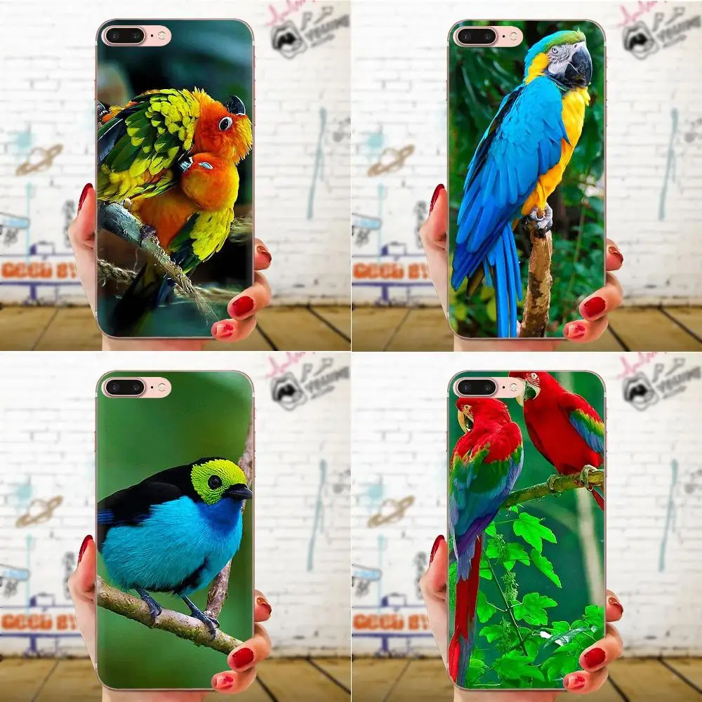 Animal Bird Parrot Cockatoos For Xiaomi CC9 CC9E Mi 3 4 4i 5 5S 6 6X 8 9 SE Play Plus Pro Lite A1 Mix 2 Note Phone Skin Case | Мобильные