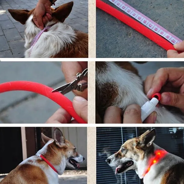 Ошейники Mascotas Perros для собак светодиодный перезаряжаемый Usb регулируемый мигающий ночной ошейник для собак пластиковый однотонный ошейник для шеи