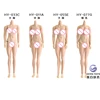 Esqueleto de acero inoxidable para figuras de acción, Cuerpo Femenino Flexible sin costuras, escala 1/12, juguetes modelos de muñecas HENG ► Foto 3/6