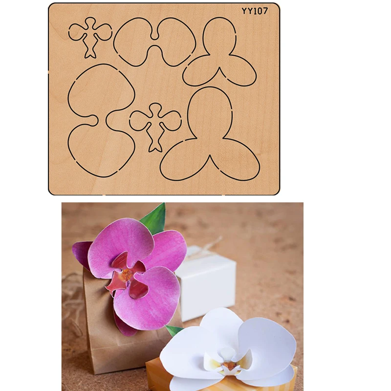 

Phalaenopsid - Metal Flower Dies Stencil Embossing Scrapbooking DIY Paper Gifts Card Making New Stencils for 2020