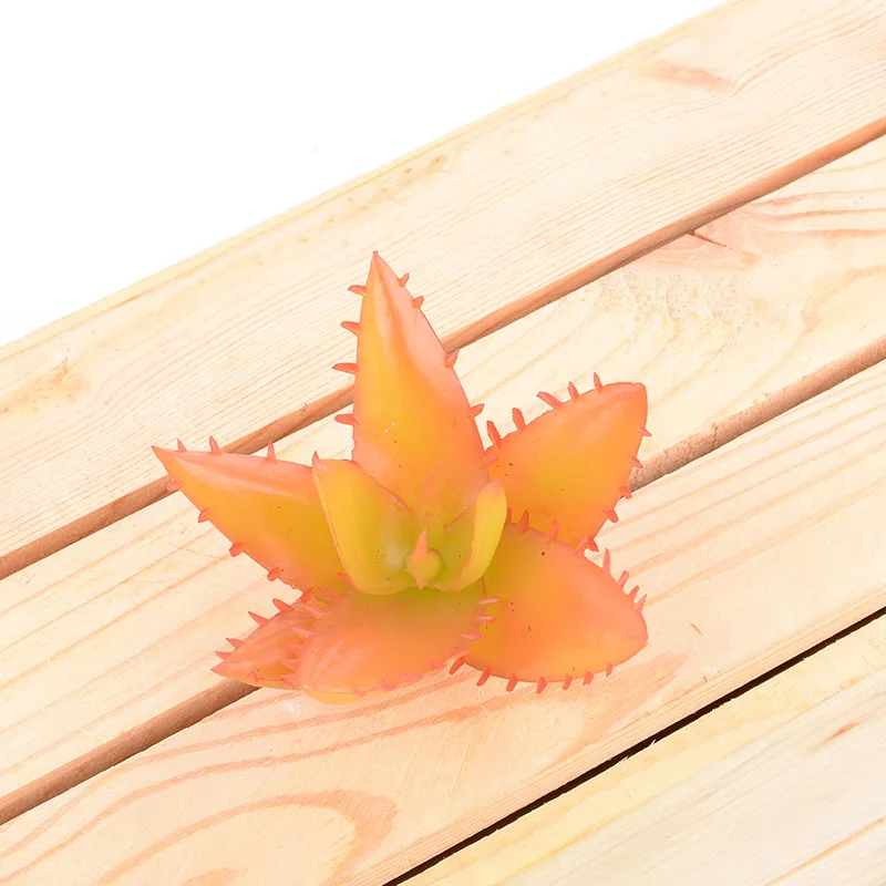 Aloe vera01
