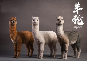 

1/6 Figure Scene Accessory Resin Alpaca Animal Model Jxk011 Static Decoration Brown/White/Piebald Gray Color For 12'' Action