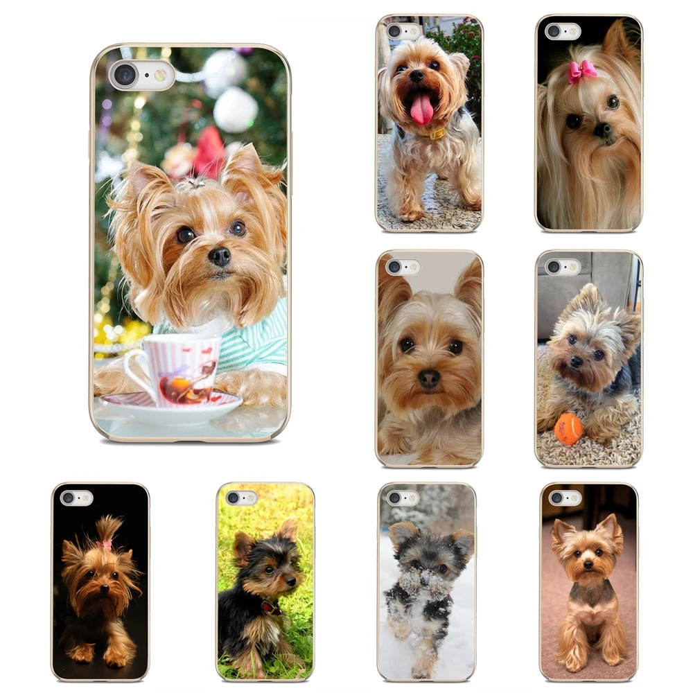 Soft Transparent Covers For Nokia 7 Plus 2 3 5 8 9 2.1 3.1 5.1 6 2017 2018 230 3310 Oneplus 3T 5T Cute Yorkshire Terrier Dog | Мобильные