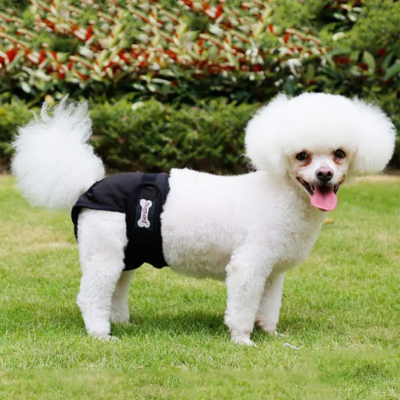 

3Pcs Washable Female Cat Leak Proof Waterproof Small Large Female Pet Premium Diapers