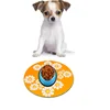 Pet Products