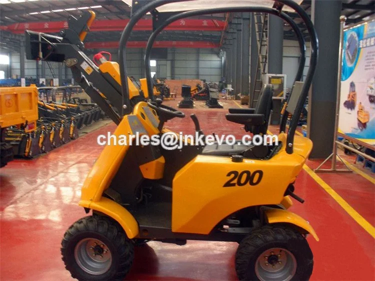 200 mini loader (85)