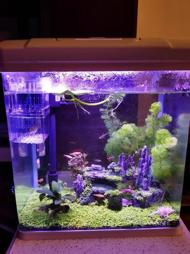 Title 10, Plant rockery multi-style aquarium decorations,...