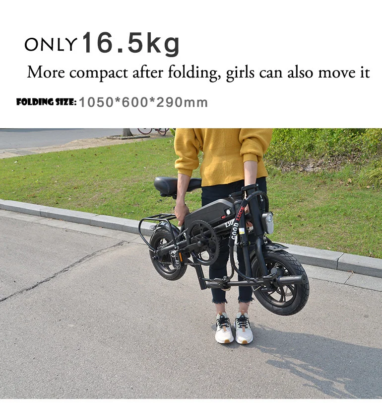 9028305880_42845181