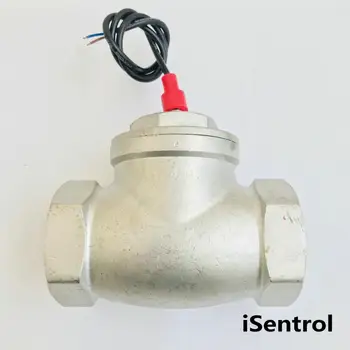 

USP-FS20TS BSPP G2"Paddle Type Flow Sensor Switch Reed Switch SUS304 Magnetic Sensor Switch 8-400L/min 250V DC 70W 2 wire