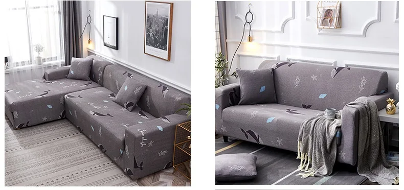 11733778143_1690726818