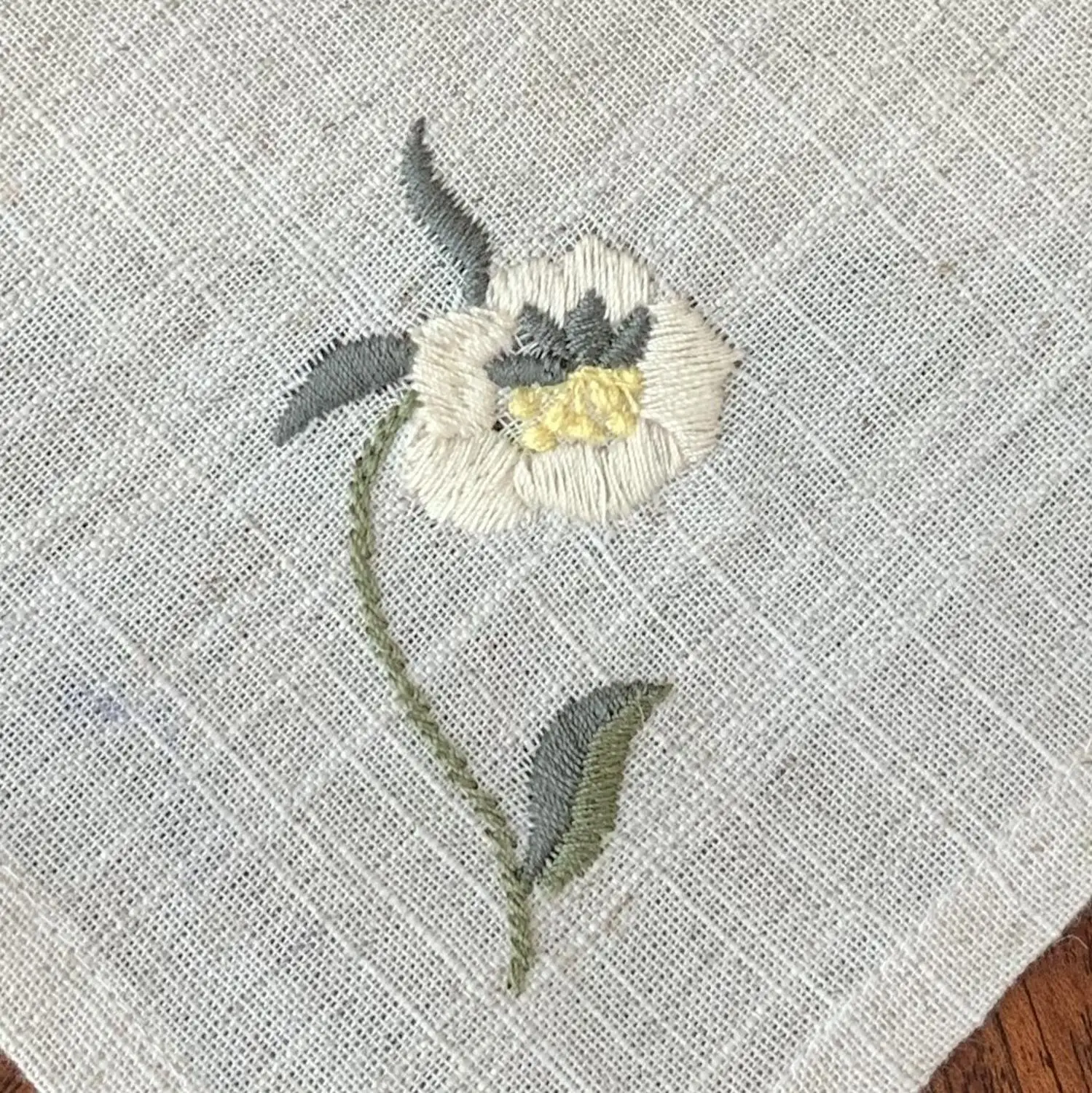 Helleborus
