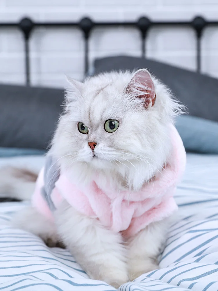 Cat Warm Clothes Autumn Winter Cat Coats Jacket Costumes Pet Clothing for Cats Rabbit Soft Sweater Kitten Kitty Outfits BB5WY32