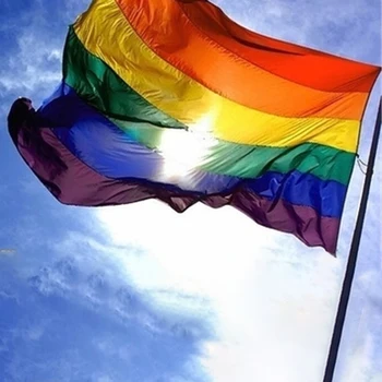 

90x150cm Colorful Rainbow Flag Decorative Banner Polyester Lesbian Gay Parade Banners LGBT Pride Flag for Parade Home Decoration
