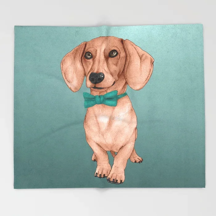Dachshund Cartoon Throws For Sofa Cute Kids Design Dachshund The Wiener Dog Blankets Christmas Decorations Home Custom Blanket Blankets Aliexpress